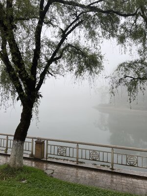 9C4298FC-9802-460A-9BF2-1CA16CA5A891.jpeg