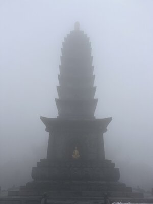 579B6F0C-8271-46AE-930B-F9DF79133BA0.jpeg