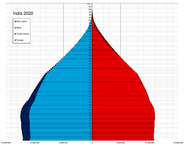 India single age population pyramid 2020