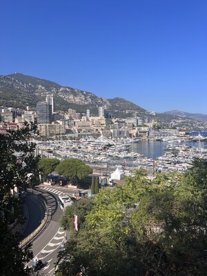 IMG_4137.jpeg