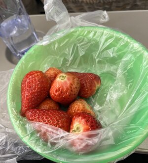 IMG_5692.jpeg