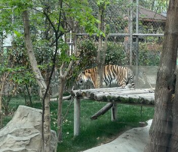IMG_7655.jpeg