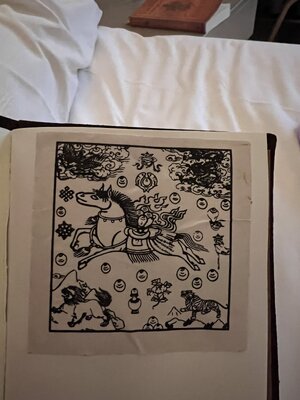 IMG_8166.jpeg
