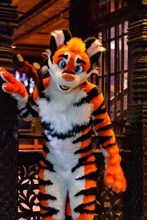 tiger-fursuit-by-tmc-v0-a6qv6q85xeba1.jpg