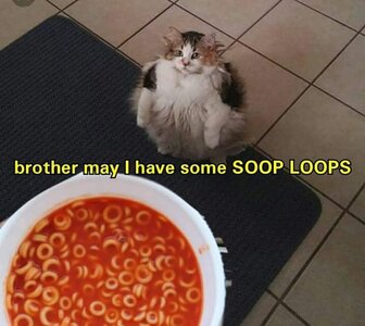 1000001616.jpg