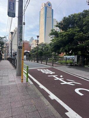IMG_1332.jpeg