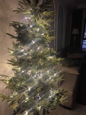 IMG_5006.jpeg