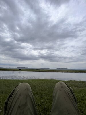 IMG_9743.jpeg