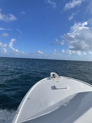 IMG_8336.jpeg