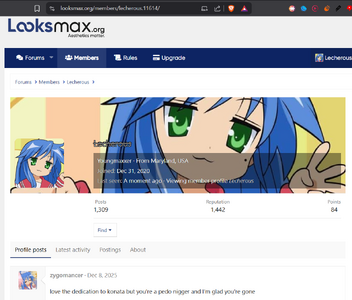 looksmax user1.PNG looksmax user1.PNG