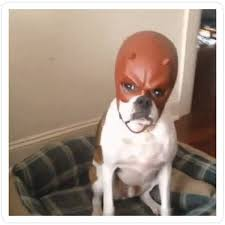 1777330274307.png