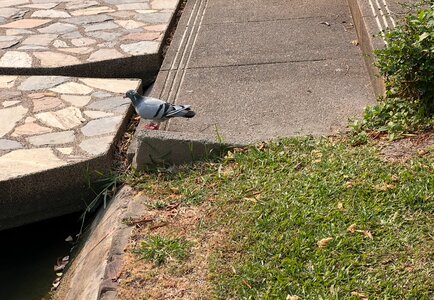 IMG_3685.jpeg