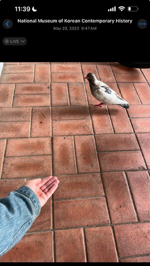 IMG_3695.jpeg