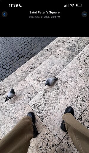 IMG_3696.jpeg