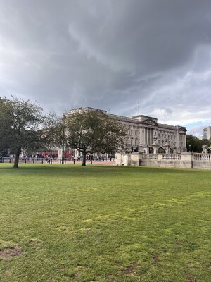IMG_4621.jpeg