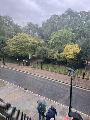 IMG_4803.jpeg
