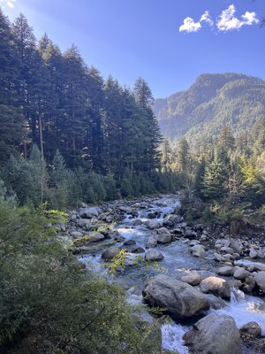 IMG_6258.jpeg