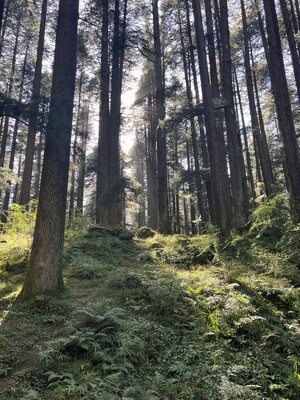 IMG_6260.jpeg