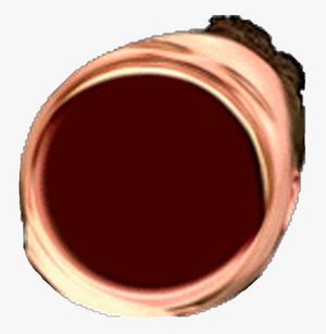 1699986669842.png