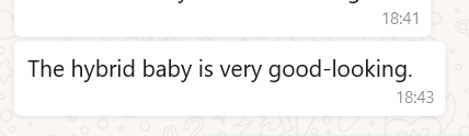 1703964287317.png