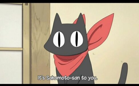 sakamoto-san.jpg