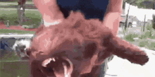 IMG_8906.gif