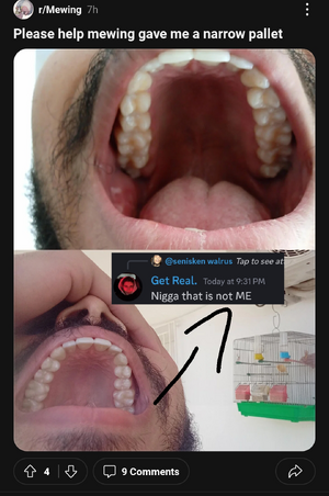 Untitled77_20240119213334.png
