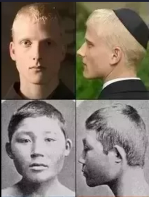 1715294044389.png