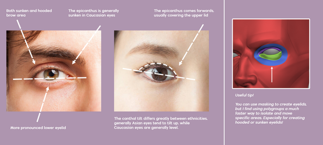 Differences between caucasoid and mongoloid eyes | Geomax.me