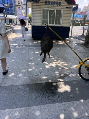 IMG_7658.jpeg
