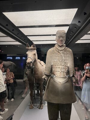 IMG_5861.jpeg