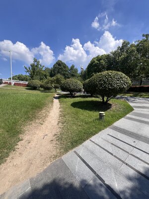 IMG_8150.jpeg