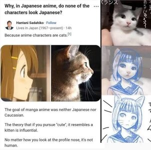 animecat.jpeg