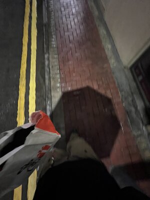 IMG_9897.jpeg