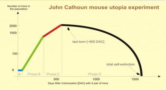 Calhoun experiment