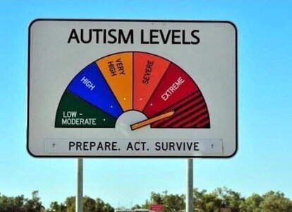 Autism levels