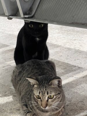 IMG_4281.jpeg